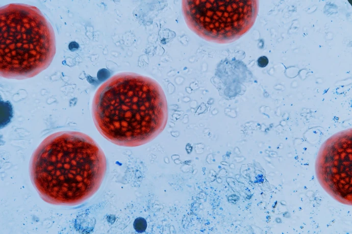 Molecular Therapeutics and Translational Oncology: Principles of Discovery